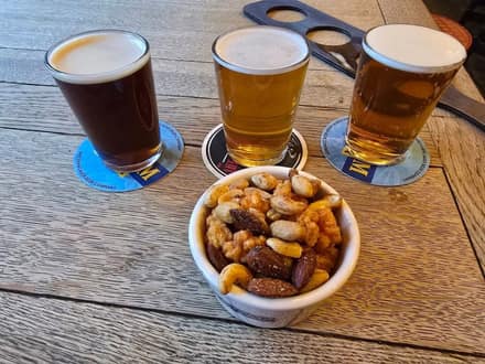The Albion Ale House