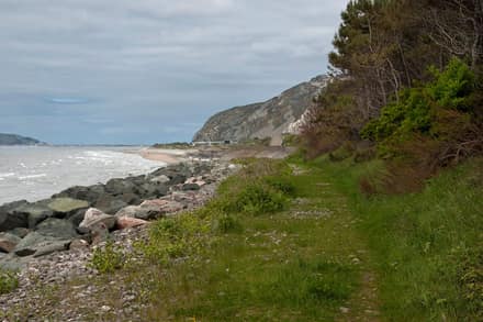 The Beach Café