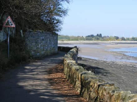 Bodlondeb Woods