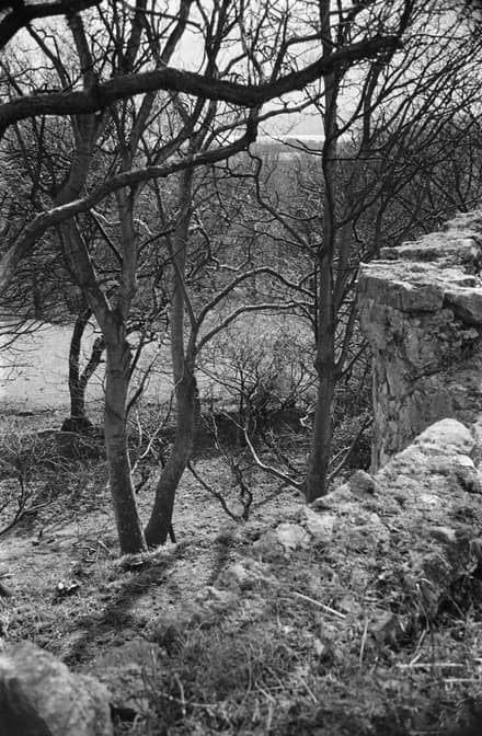 Castell Aberlleiniog