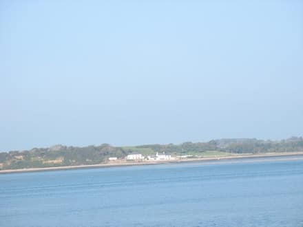 Foel Farm Park