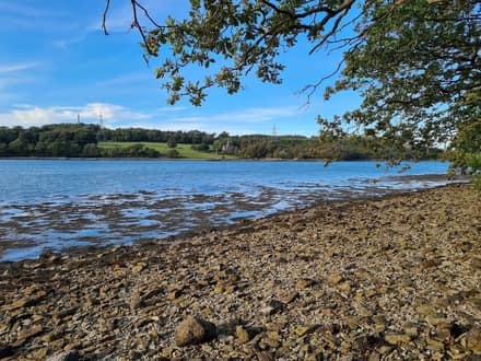 Glan Faenol
