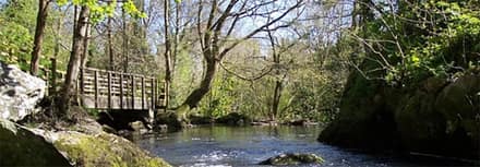 Llangefni Dingle