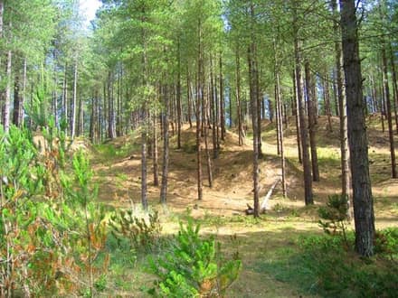Llyn Parc Mawr squirrel hide
