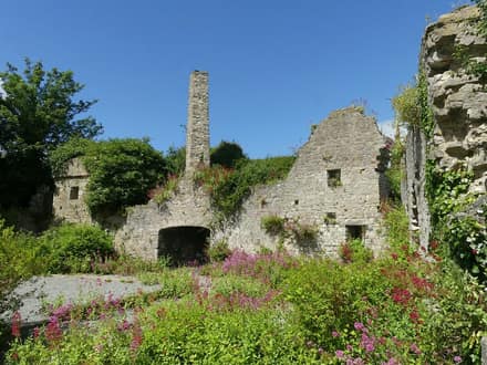 Llys Euryn & Bryn Euryn