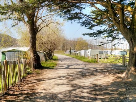 Manorafon Farm Park