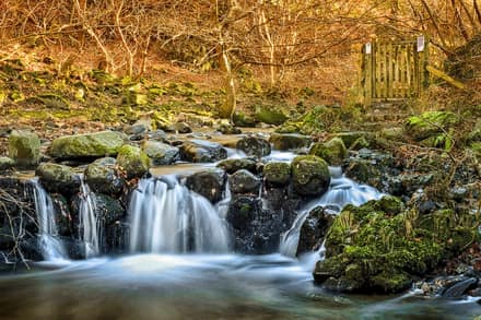Nant y Coed