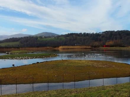 RSPB Conwy