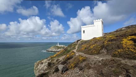RSPB South Stack