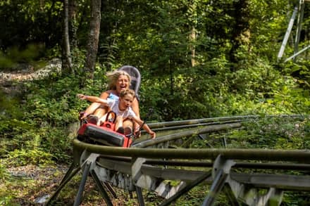 Zip World Betws-y-Coed — Fforest Coaster